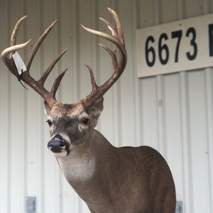 Meet your Posher, Joseph